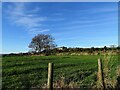 Looking across to Derwent View