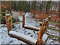 Entrance to Lower Fell Greave Woods