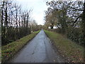 SJ5418 : Narrow rural lane near Bings Heath by Jeremy Bolwell