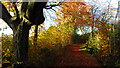 Autumn colours on Irwell Sculpture Trail west of Walmersley