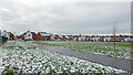 Park and modern housing near Oxley, Wolverhampton