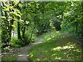 Path alongside Barton Hill car park, Dawlish