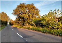 SP7509 : Lower Road west of Haddenham by David Howard