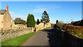 Lane through Holbeck Woodhouse