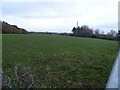 Footpath off Back Racecourse Lane