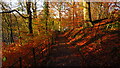 Preston - path leading from Selborne St into Avenham Park