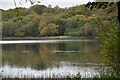 Lower Lough Erne