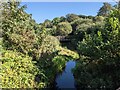 The River Hayle from Godolphin Bridge