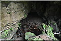 H1243 : Pollnagollum Cave by N Chadwick