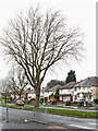 Three Tuns Lane near Bushbury in Wolverhampton