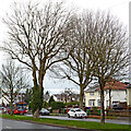 Three Tuns Lane near Bushbury in Wolverhampton