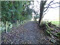 Bridle path off Back  Racecourse Lane