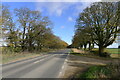 Wood Lane bridleway joining the A52