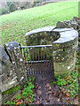 Stone Kissing Gate, Avening