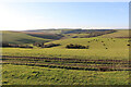 TQ5701 : Typical chalk downland features near Willingdon Bottom, East Sussex by Andrew Diack
