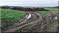 Manure heaps in field on NW side of minor road at Barrock Park