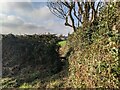 SW5936 : A stile in the hedge by David Medcalf