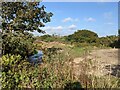 The River Hayle near Lower Noonvares