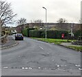 ST4391 : Southern end of Wentwood Drive, Llanvaches by Jaggery