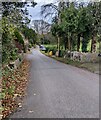 ST4391 : East along Rectory Road, Llanvaches by Jaggery