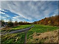 Bradley Birkby Greenway start