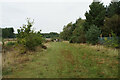 Path by Freshfield Dune Heath Nature Reserve