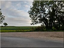 TL3355 : Crop field by Toft Road, Bourn by David Howard