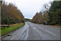 Road from Woburn to Woburn Sands