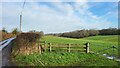 Field near Dogkennel Green