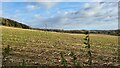 Large field next to a steep Bridleway