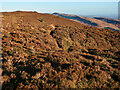 NN5401 : Ridge path on the Mentieth Hills by wrobison