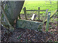 Stone Stile, Upthorpe Farm