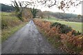 Lane and bridleway