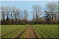 Farmland, Medmenham