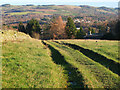 Southern Upland Way, Gala Hill