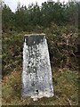 NH6459 : Trig point on Mount Eagle by Steven Brown