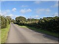 The entrance drive to Calloose Caravan and Camping Park