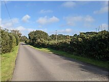 SW6035 : The entrance drive to Calloose Caravan and Camping Park by David Medcalf
