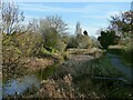 The Remains of the Grantham Canal at Lady Bay, West Bridgford