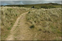SW9276 : Path through dunes by Derek Harper