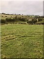 Brierlow Farm Fields