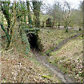 NZ5914 : Creep beneath the Middlesbrough & Guisborough Railway originally to a farm called Barn Hill by Mick Garratt