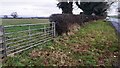 Gateway and hedgerow on NE side of A6 at Springfield Farm