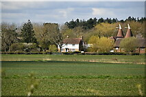 TQ8628 : Maytham Farmhouse and oast by N Chadwick