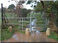 TQ4670 : Flooded path at Foots Cray by Peter S