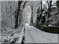 Snowy Woodside Lane