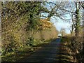 SK5829 : Wysall Lane or Fairham Brook Lane by Alan Murray-Rust