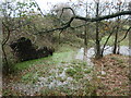 SJ9486 : Waterlogged land and fallen tree near Holly Farm by Christine Johnstone