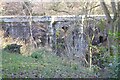 Bridge at entrance to Downton Castle