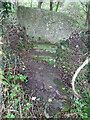ST7397 : Stone Stile, Stinchcombe by Mr Red